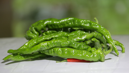 青海海东五大特色农产品，领略高原馈赠的醇美滋味