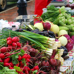 农产品流通的双翼 批发市场与农贸市场的功能辨析与协同发展