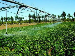 盐城16地入选国家农业产业强镇名单，特色农产品迎来发展新机遇