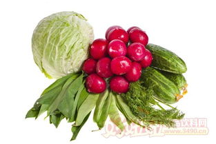 筑牢安全防线 深圳市以快检机构为引领，护航农产品食品安全