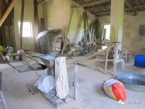 流水的记忆 无电年代大埔水力农产品加工厂的乡土轮回