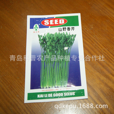 品质种苗，助力高产 优质香芹种子的选择之道